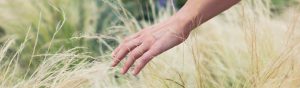 Retiro Mindfulness Mente Corazon @ Residencia Los Negrales | Comunidad de Madrid